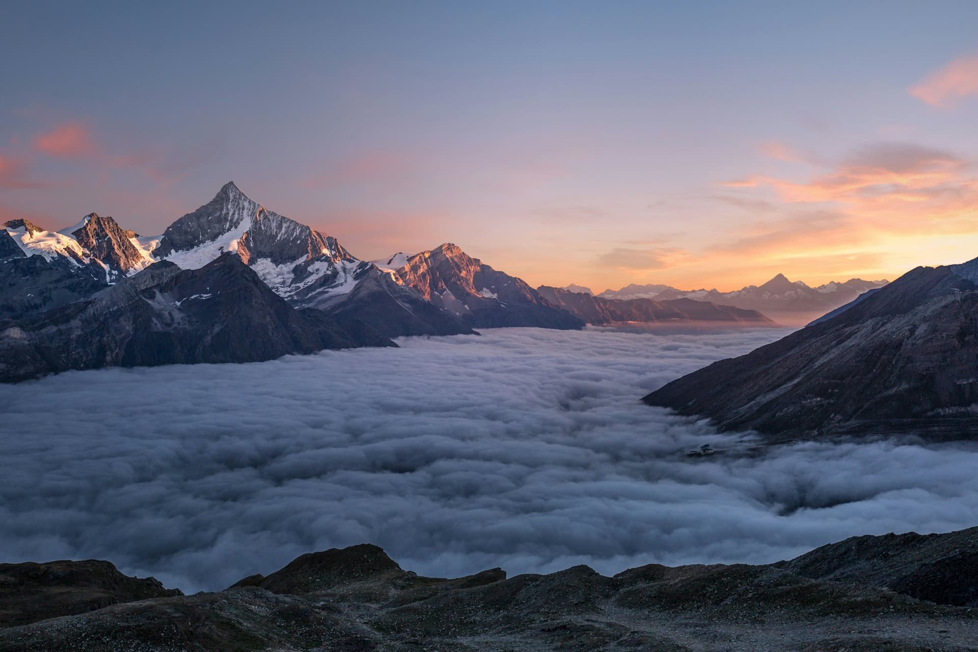 Alpengipfel im Abendlicht über einem Wolkenmeer